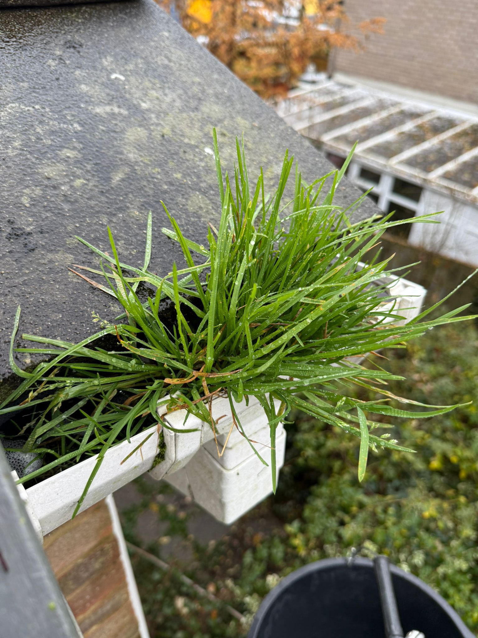Blocked gutter downpipe in Godalming